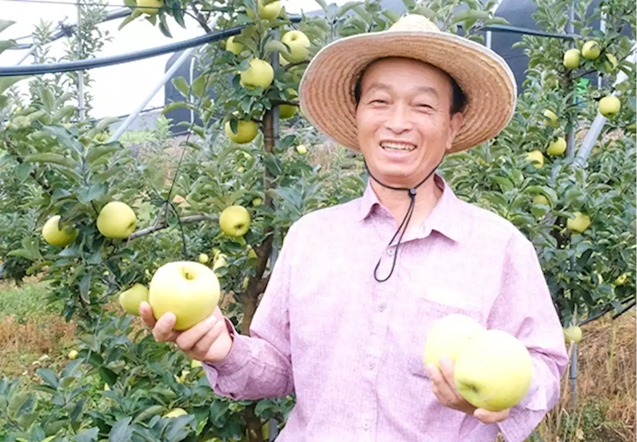 자식, 손주 만날 생각에 행복... 부모님은 자식을 기다린다