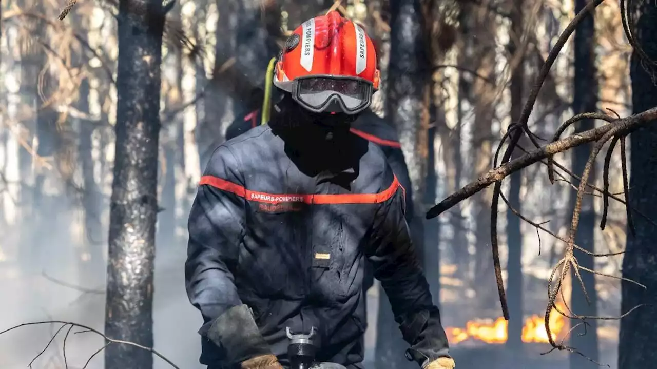 Lutte contre les feux de forêt : 19 véhicules et un système de vidéosurveillance pour l’Anjou