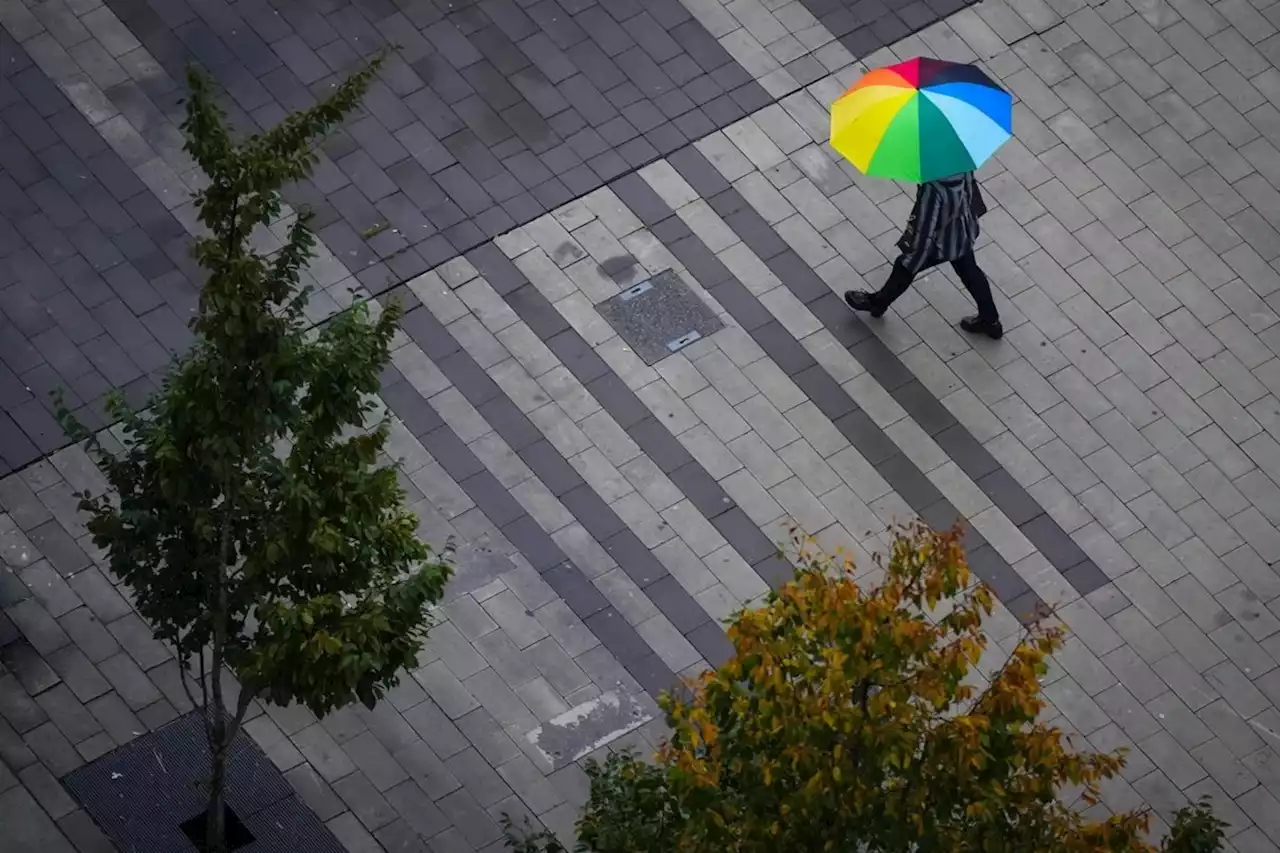 Environment Canada warns B.C. coast to prepare for heavy winds, rain after drought