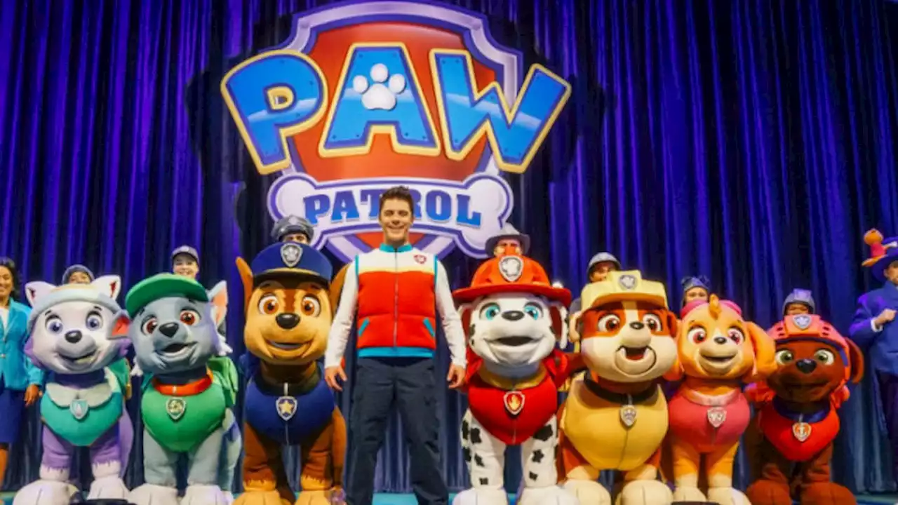 Paw-Patrol-Film: Trotz FSK 0 rennen Kinder weinend aus dem Kino