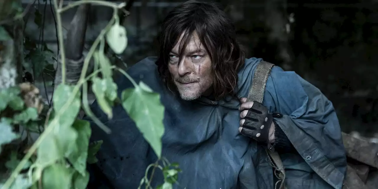 Daryl Dixon Becomes Highest-Rated Walking Dead Show On Rotten Tomatoes