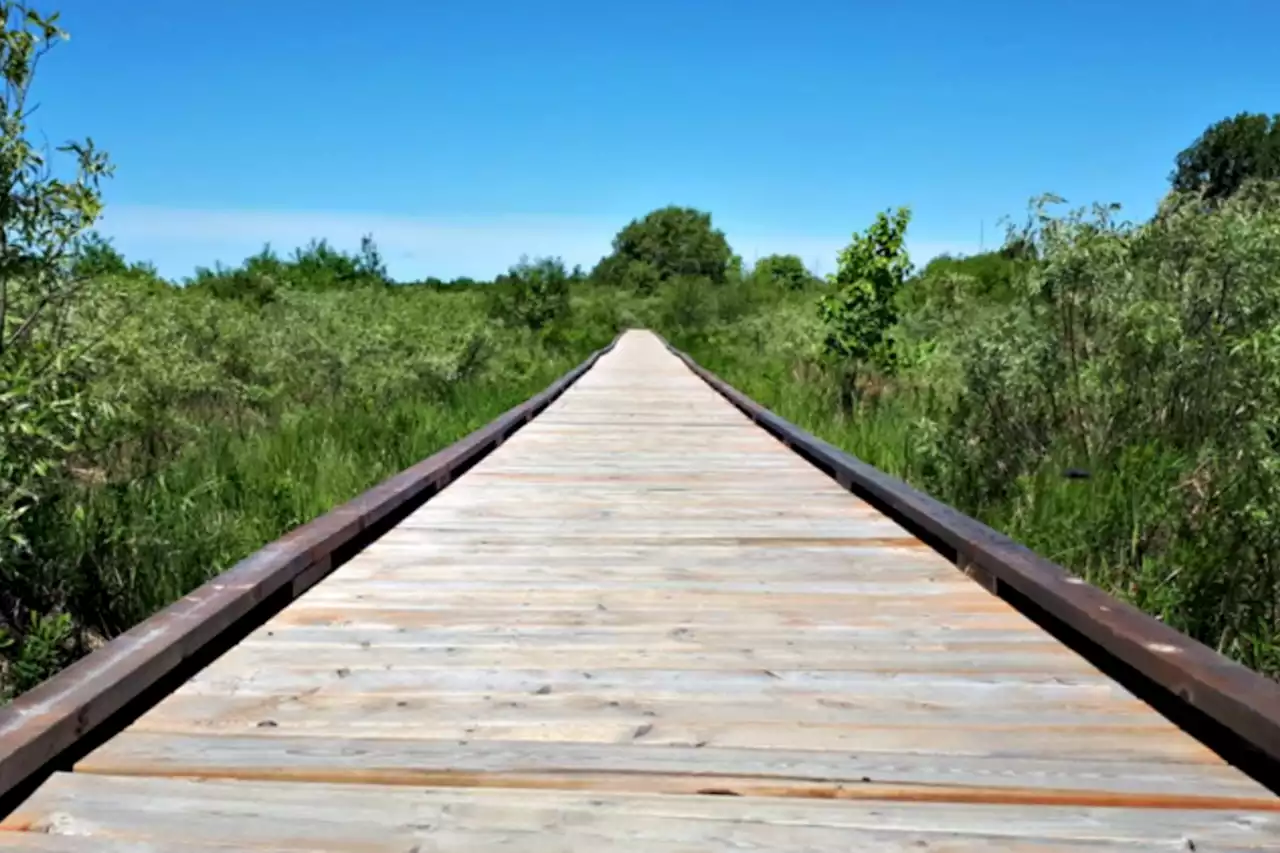 Robinson Lake trail bridge to be replaced in October