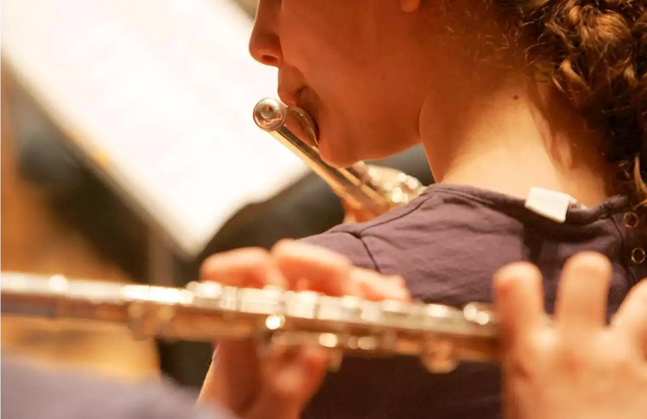 Manque de personnels, horaires à rallonge : les professeurs de musique de Dordogne sonnent le tocsin