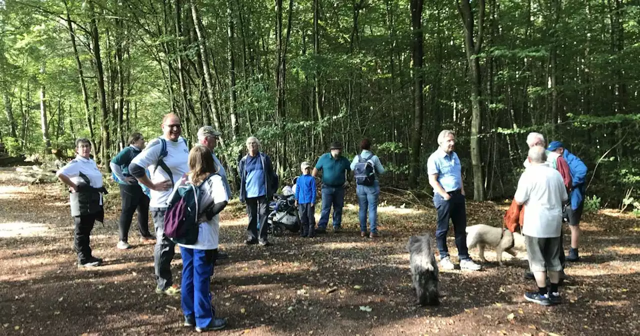 Auszeichnung: „Deutschlands schönster Wanderweg“ liegt im Regionalverband Saarbrücken