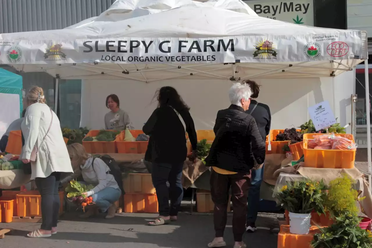 Good Harvest connects residents with local farmers