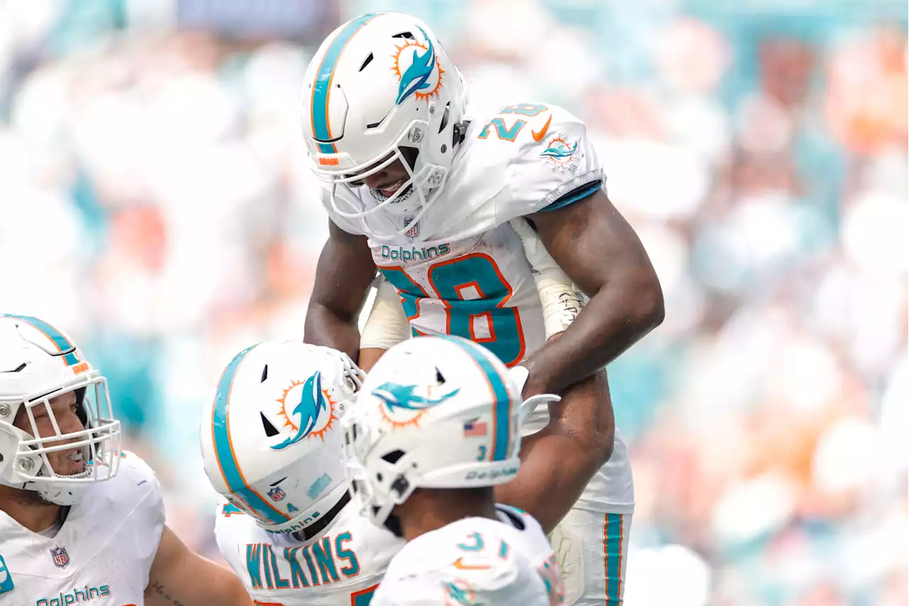 The Dolphins are the NFL's best party — and they've discovered another star