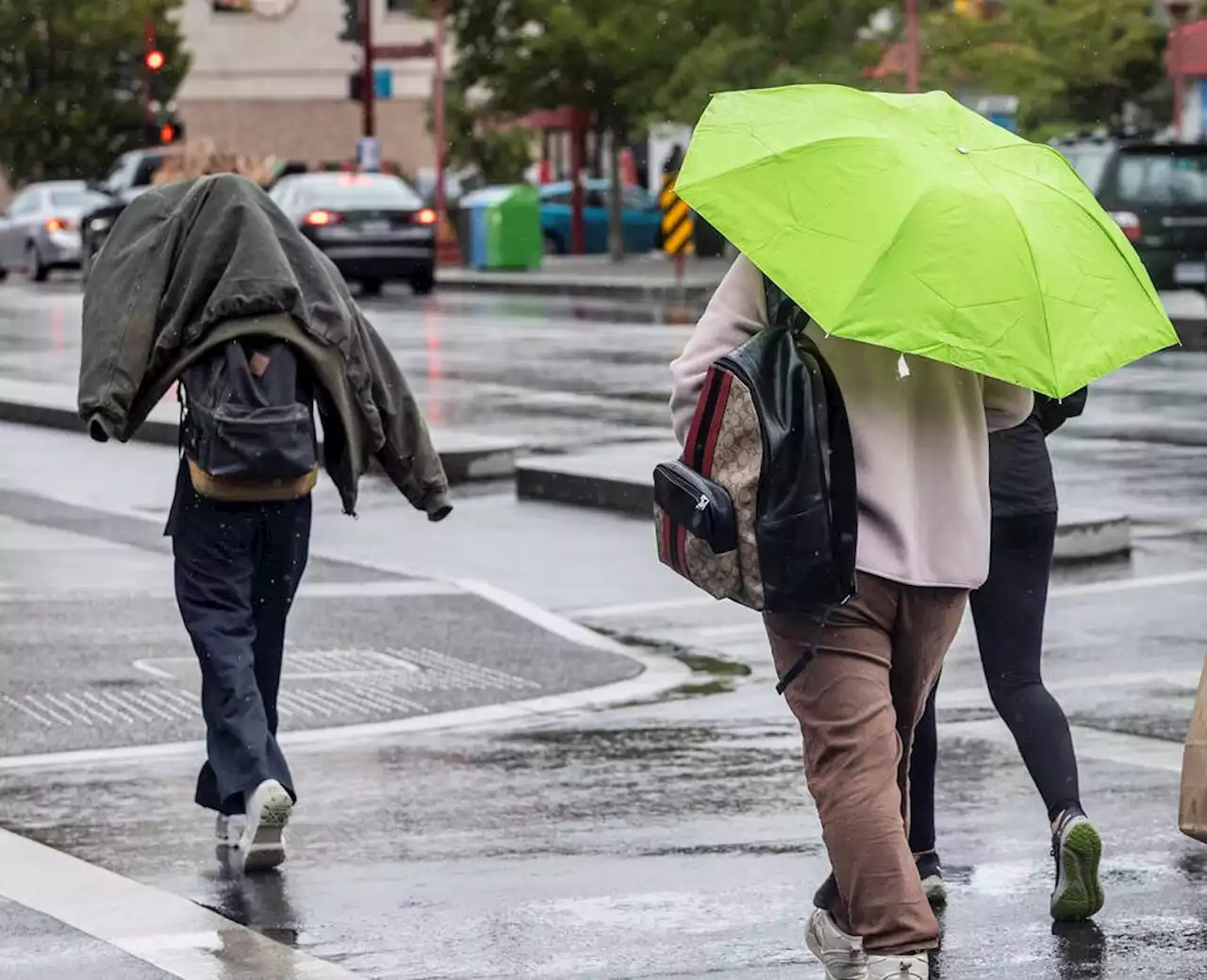 Wind warnings issued as first fall storms approach B.C.’s South Coast