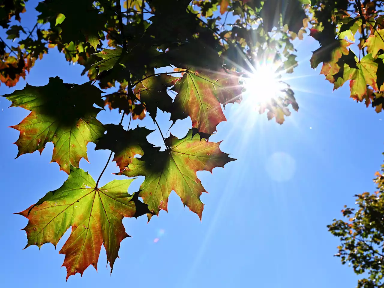 Wetter: September geht spätsommerlich zu Ende