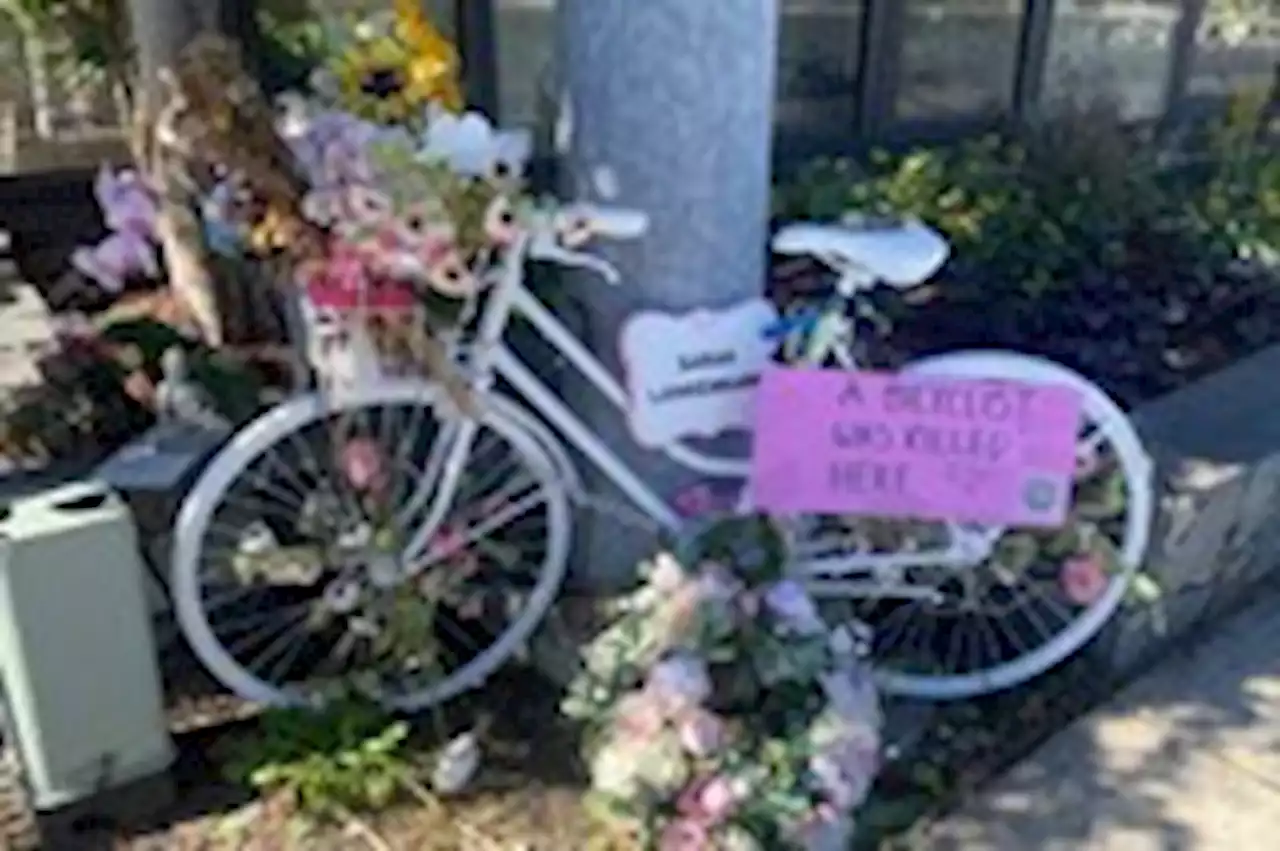 Truck driver who fatally struck diplomat on bike in Maryland fined $2,000