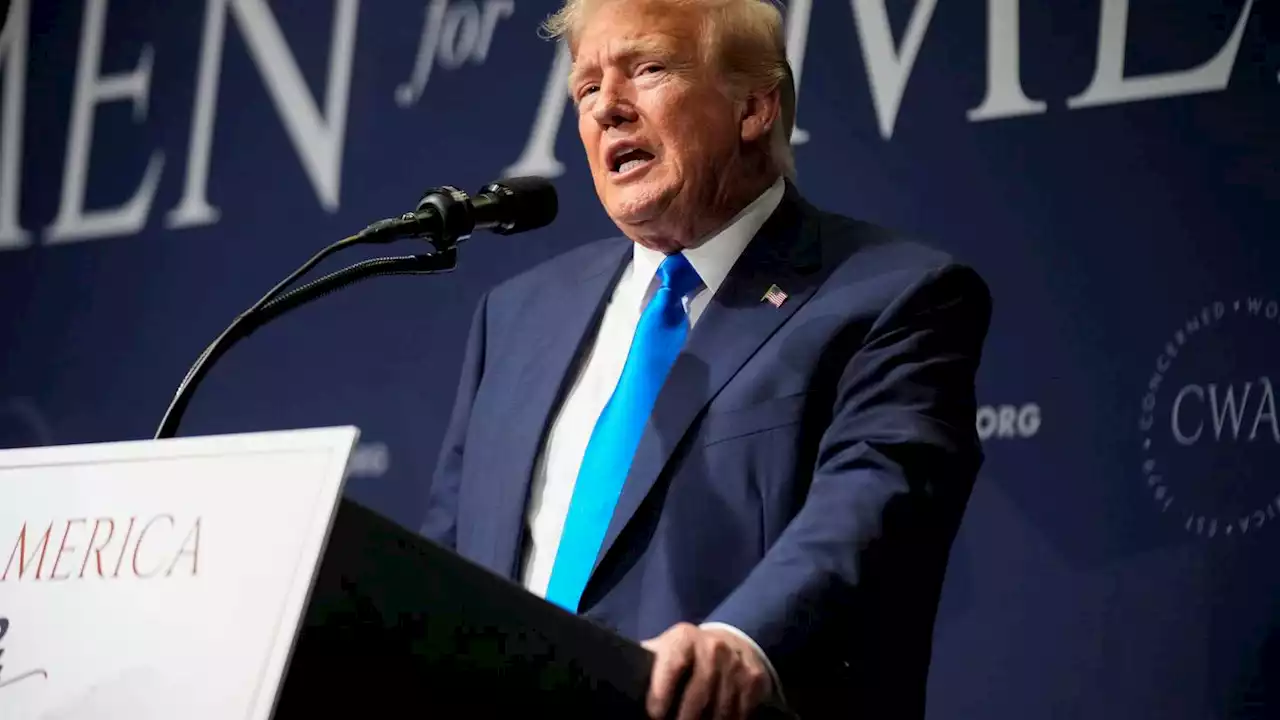 Trump argues First Amendment protects him from 'insurrection' cases aimed at keeping him off ballot