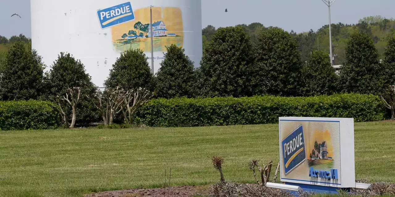 Perdue and Tyson Under Federal Investigation Over Child Labor