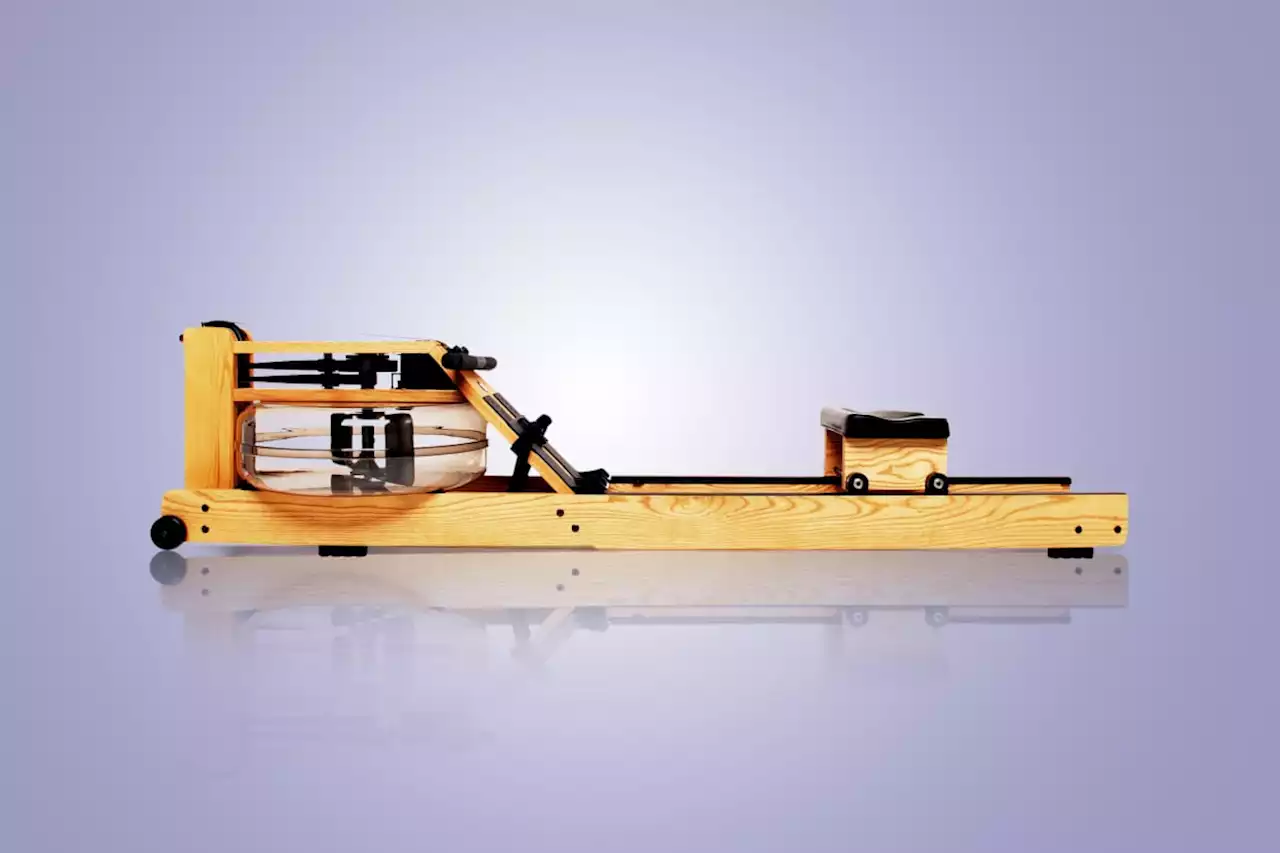 This Old-School Rowing Machine is the Home-Gym Gear of My Dreams