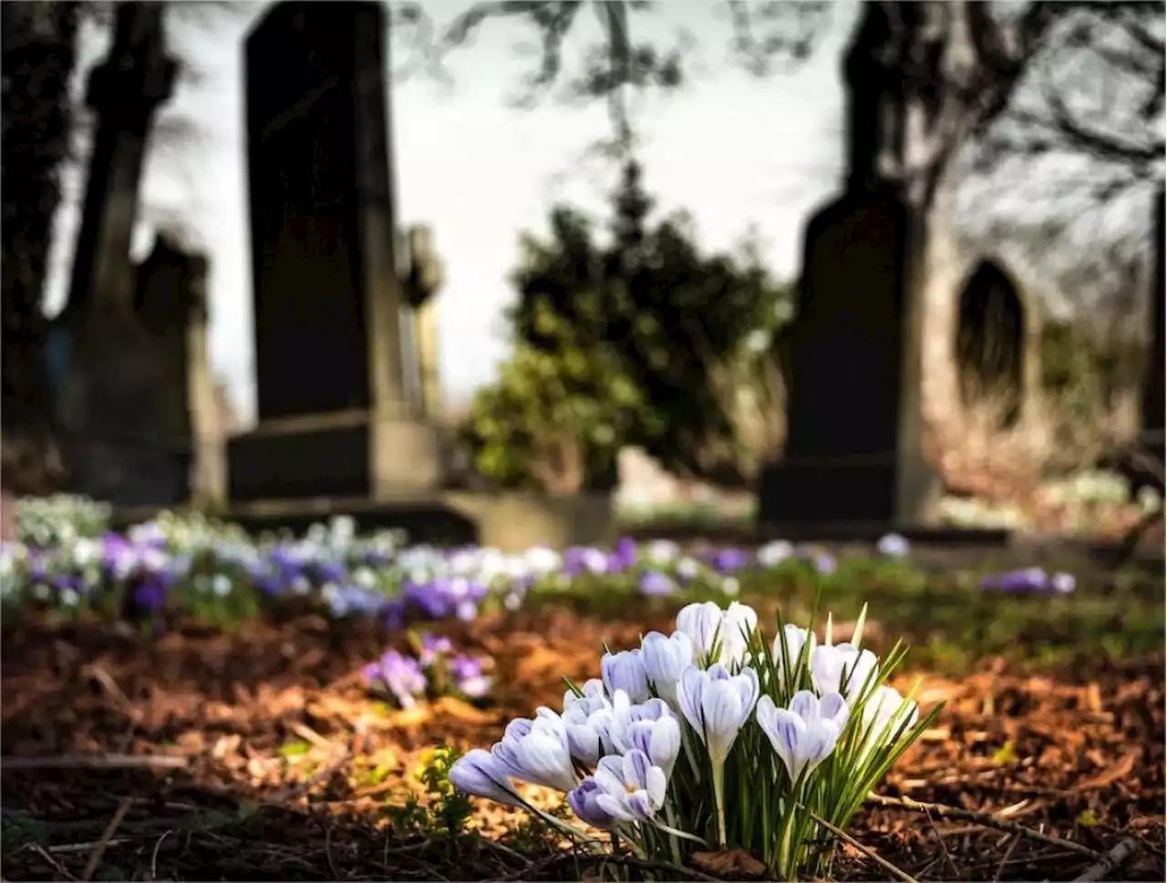 'Vis ma vie d'agent de cimetière' à Saint-Malo