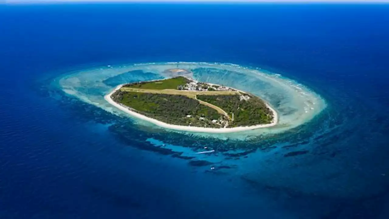 Lady Elliot Island: A paradise island where you make a pledge