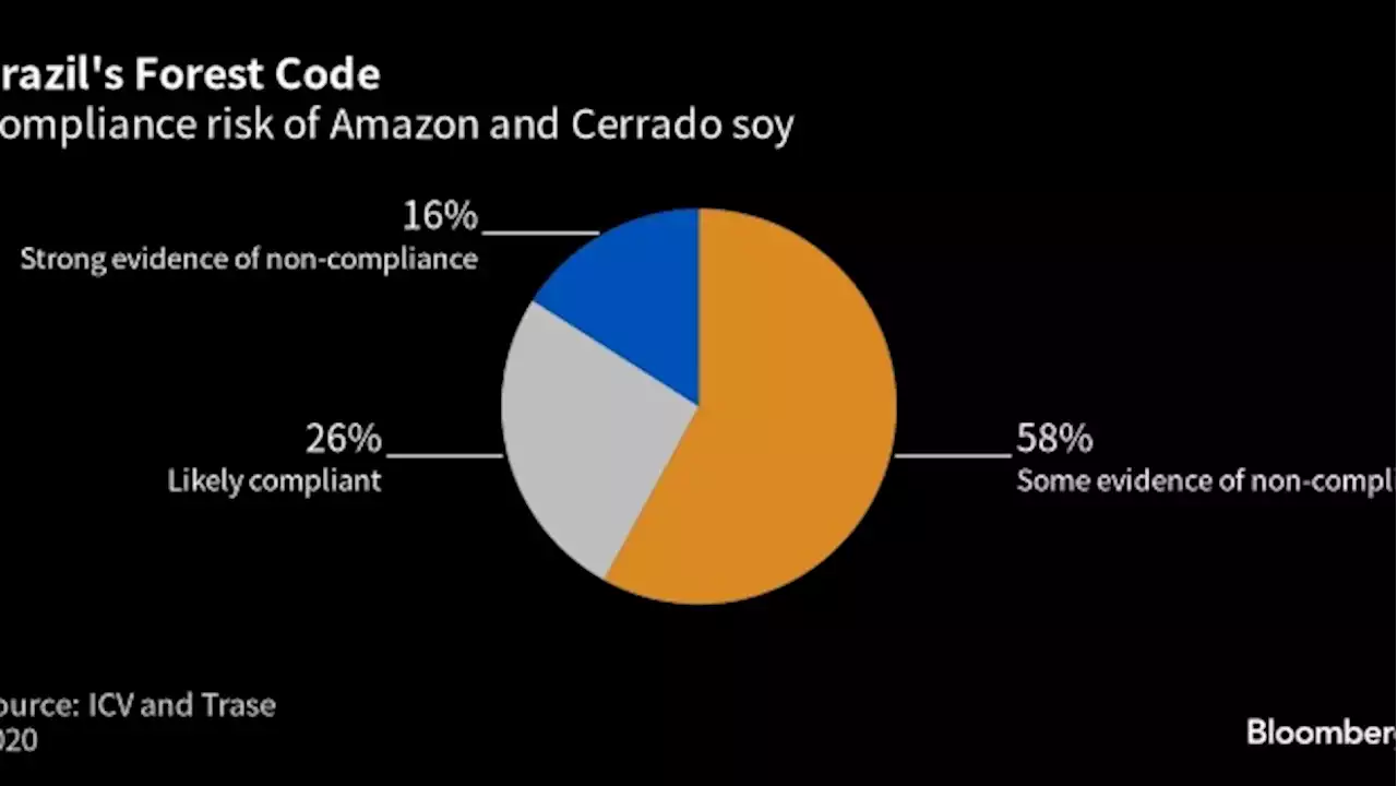 Brazil Risks Losing Soy Sales to Europe Over Forestry Compliance