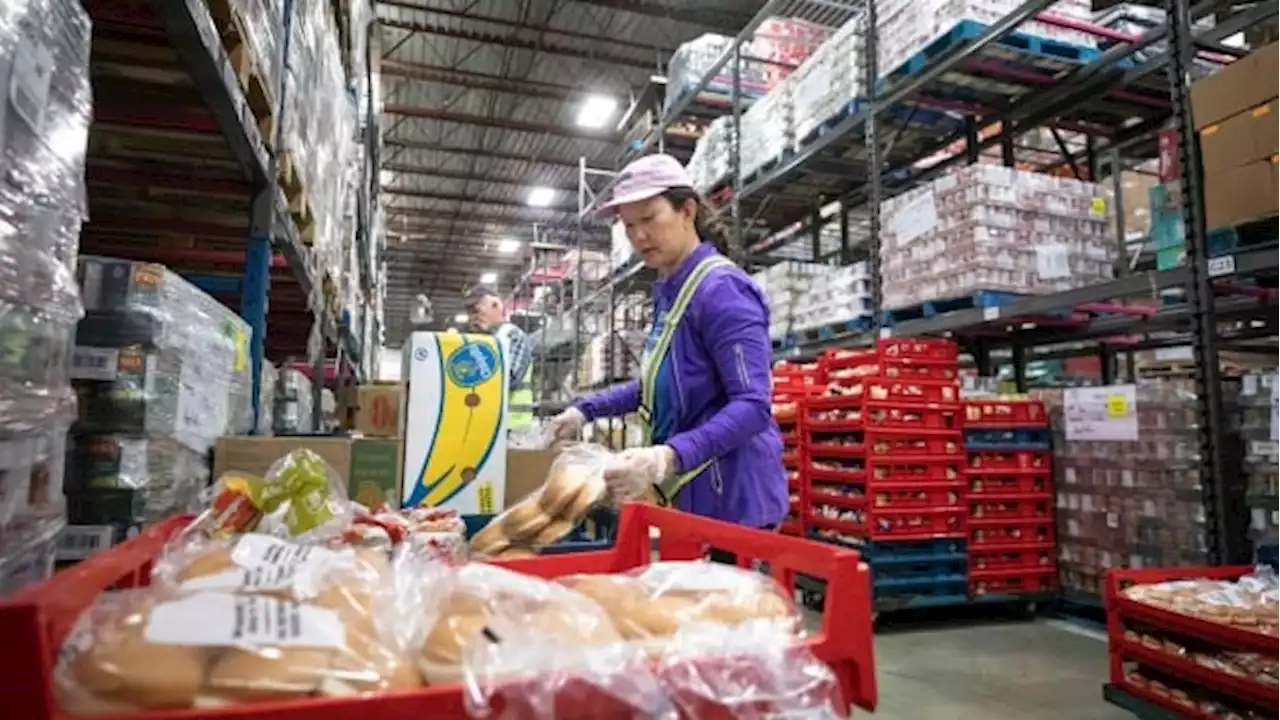 Pandemic flooded 12 big food banks with $168M in reserves