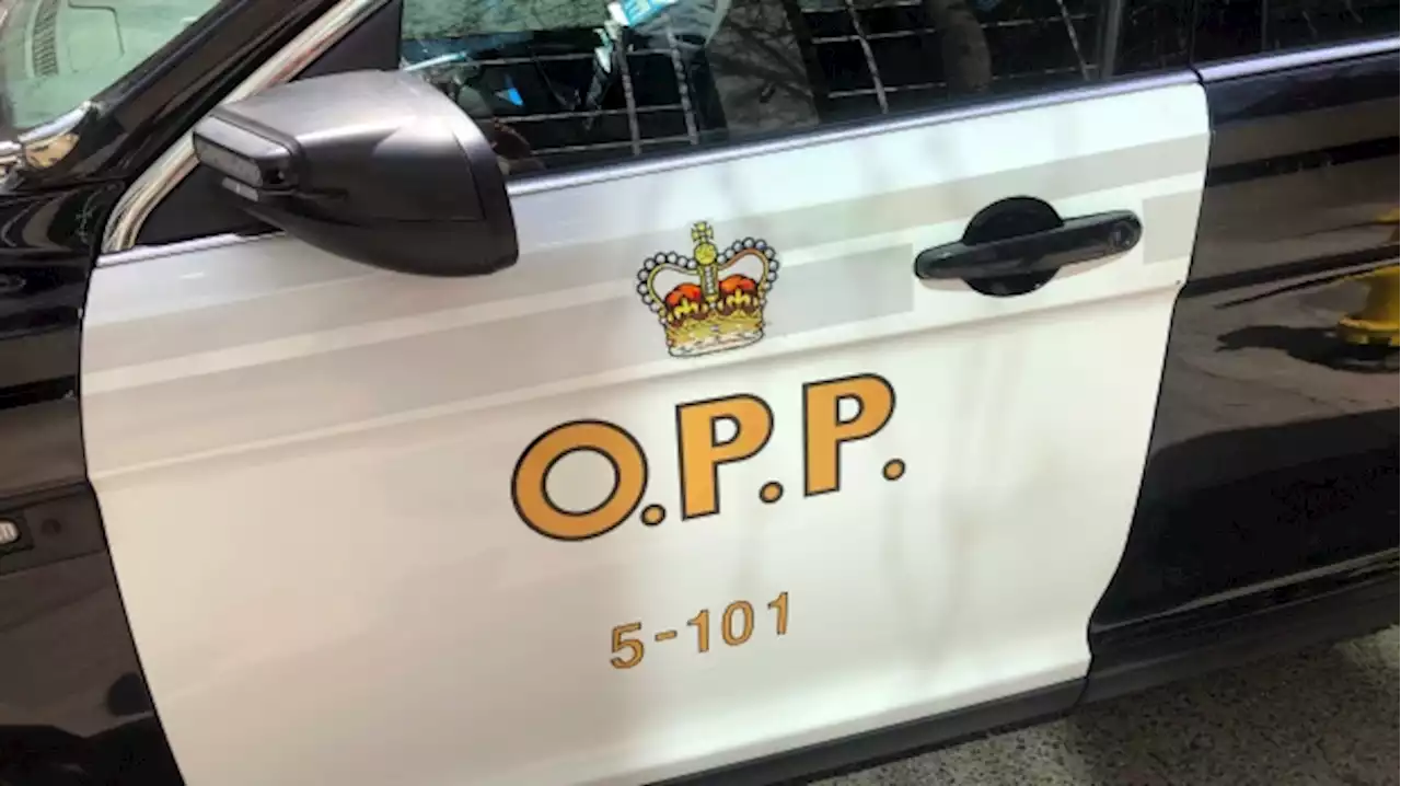 Suspected impaired driver had two kids, open liquor in vehicle when stopped in Niagara Falls: police