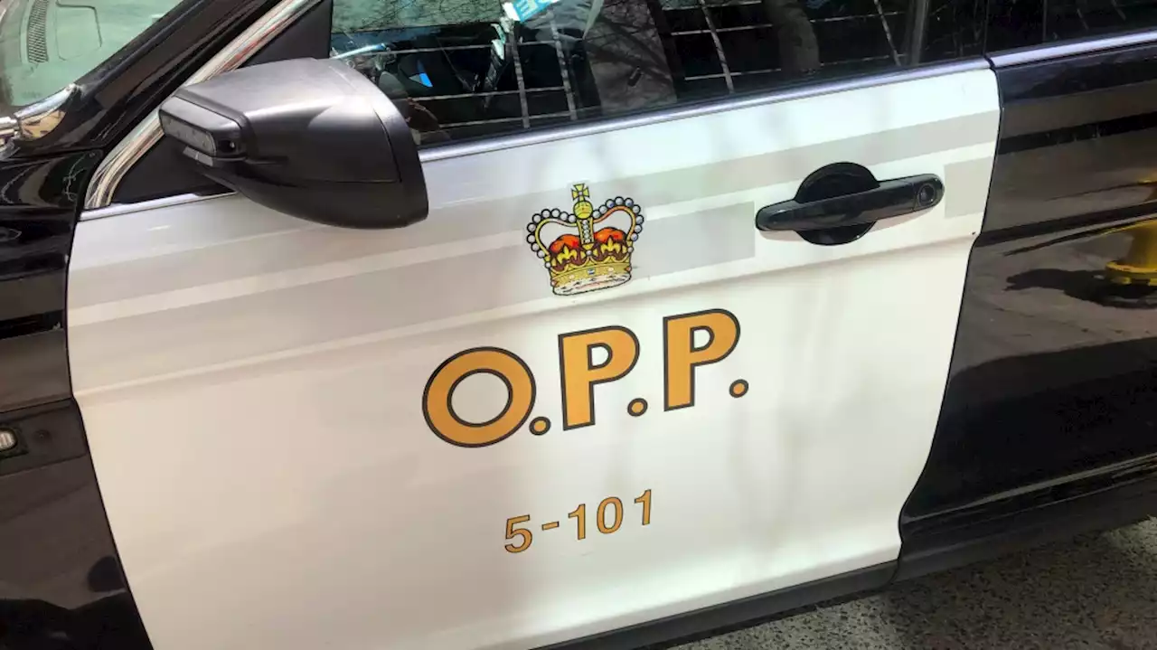 Suspected impaired driver had 2 kids, open liquor in vehicle when stopped in Niagara Falls: police