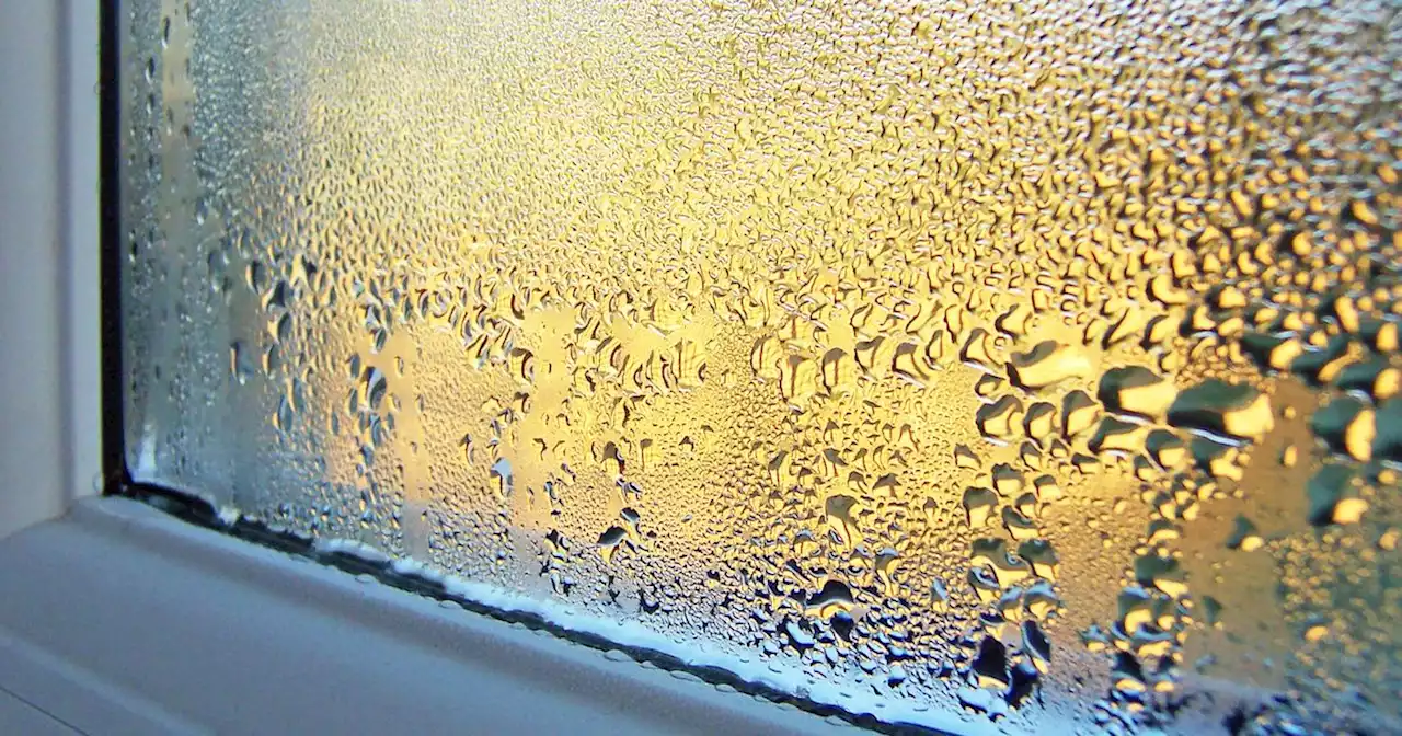 Why condensation appears on windows in the morning - and simple tip to stop it