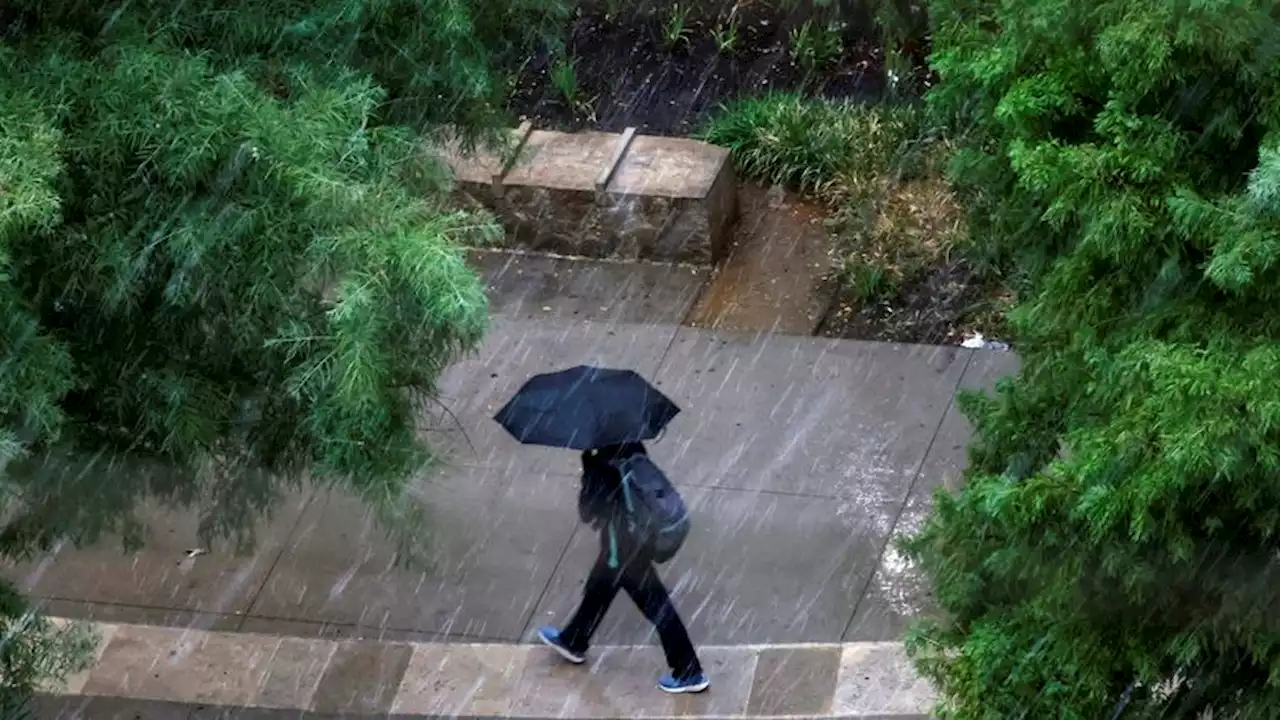 What is El Niño and how will it affect winter weather in Dallas-Fort Worth?