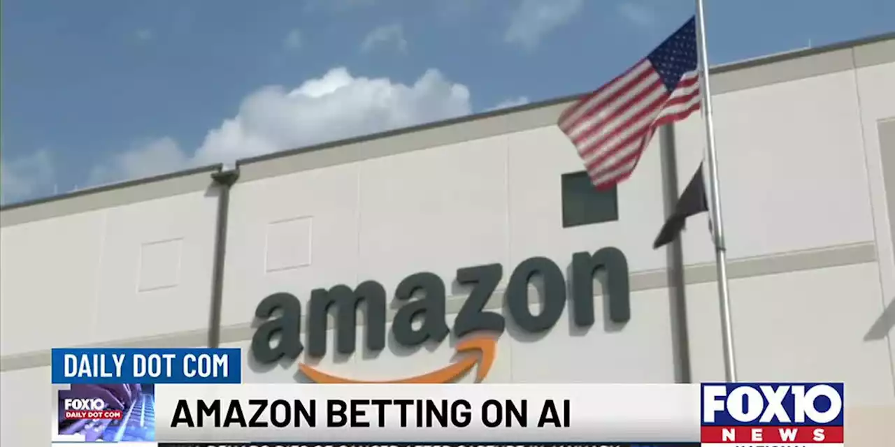 Daily Dot Com: Amazon betting on AI