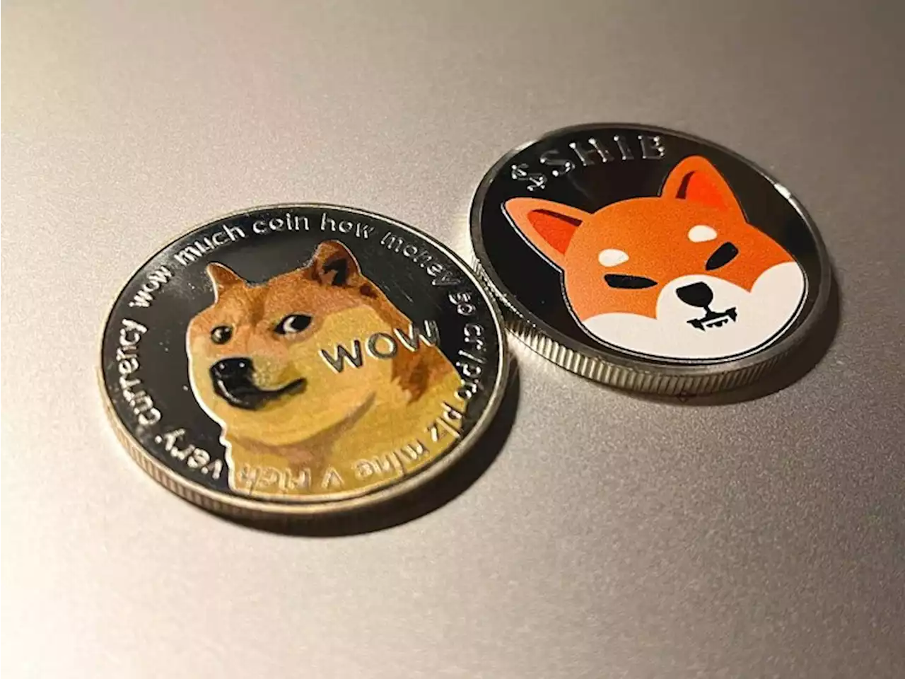 Shiba Inu inspired meme coin BONE notes first rise following the 55% crash in two months