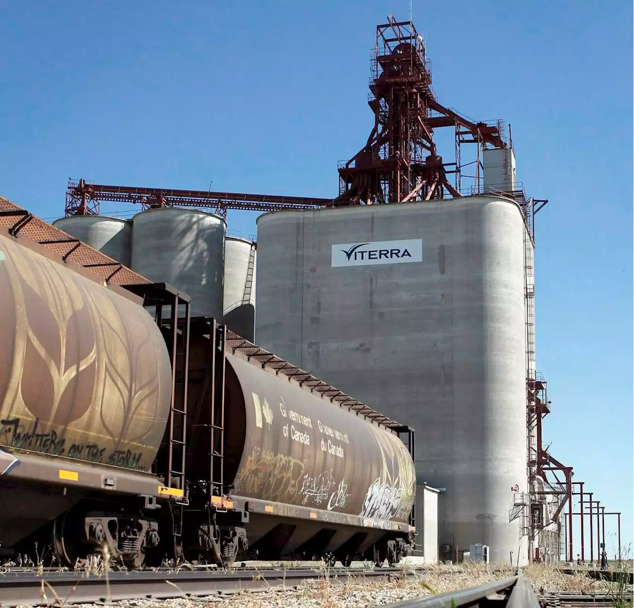 Federal government to review proposed Bunge-Viterra merger, transport minister says