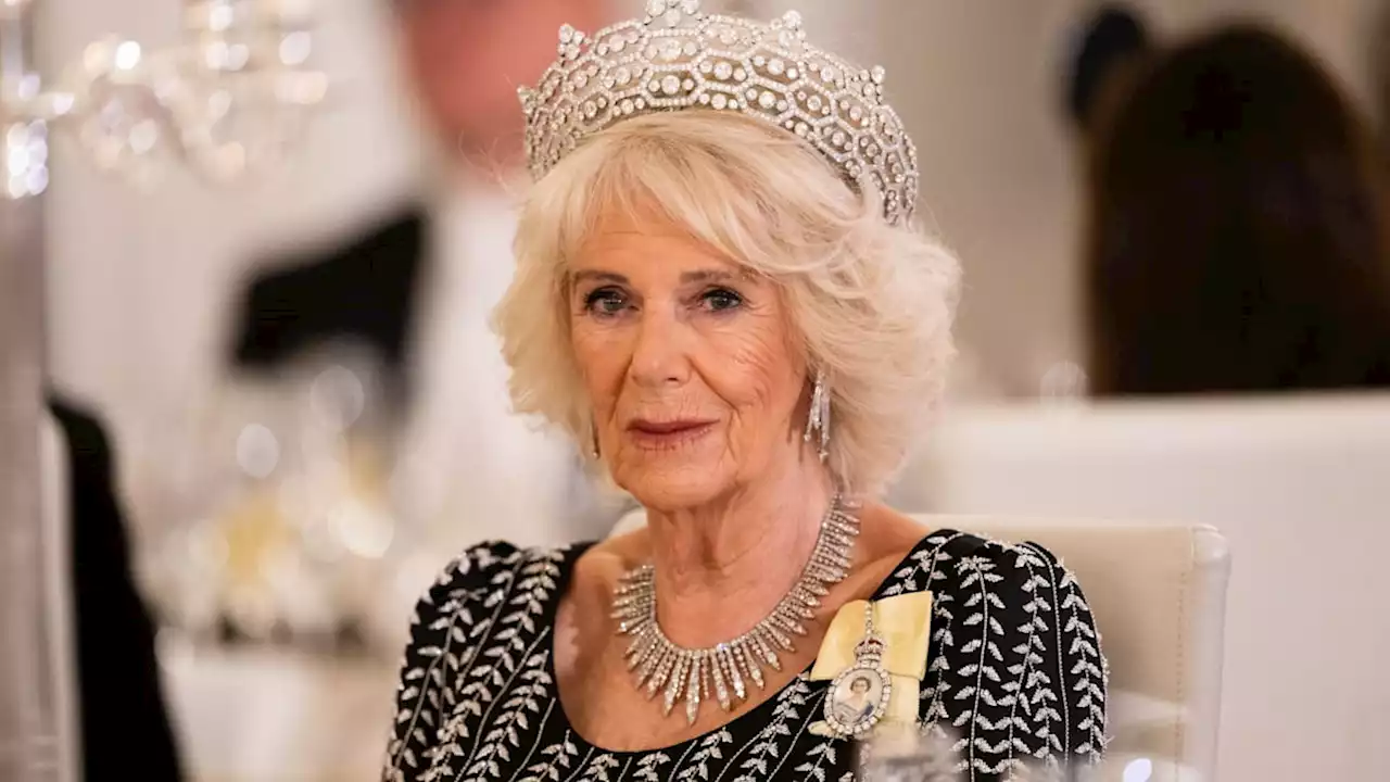 Queen Camilla's metallic gown and glittering serpent necklace was one of her most daring looks