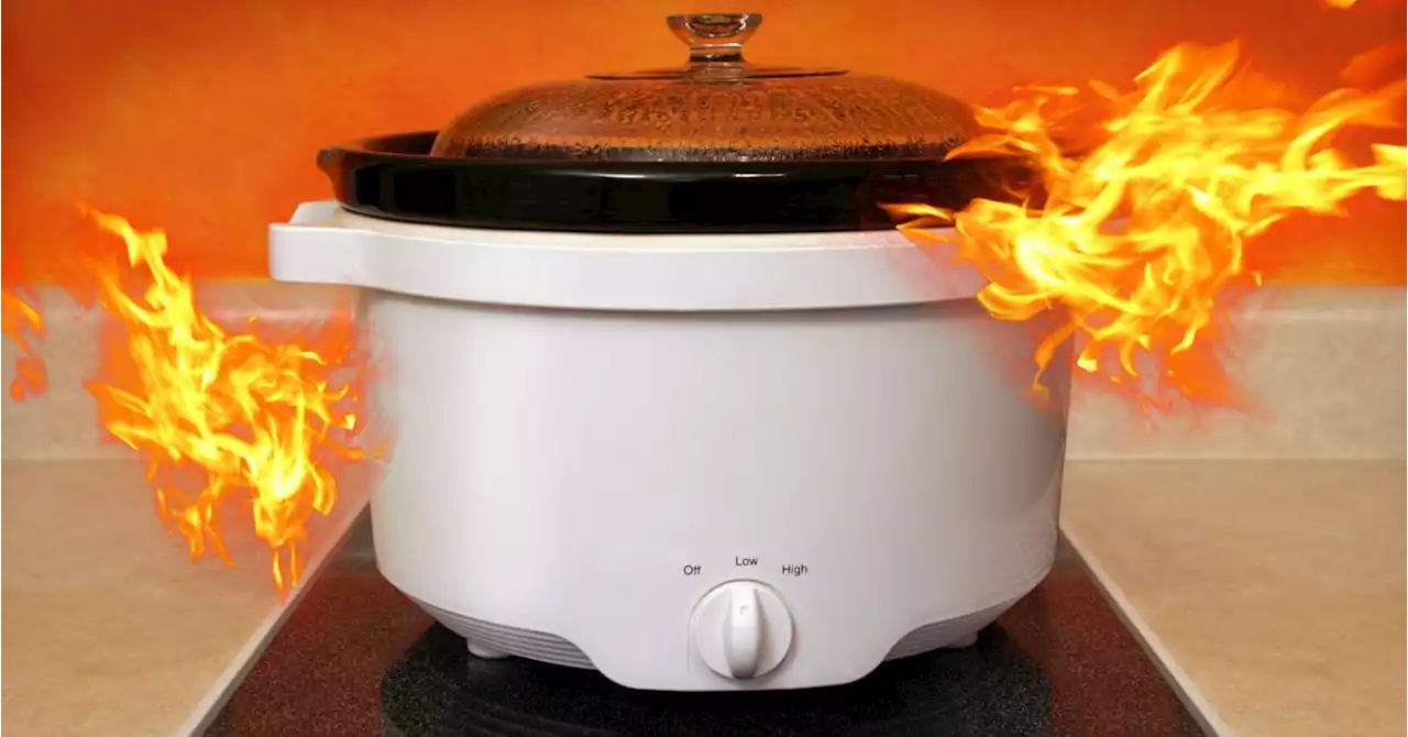 6 Dangerous Multicooker Mistakes, According To Food Safety Experts