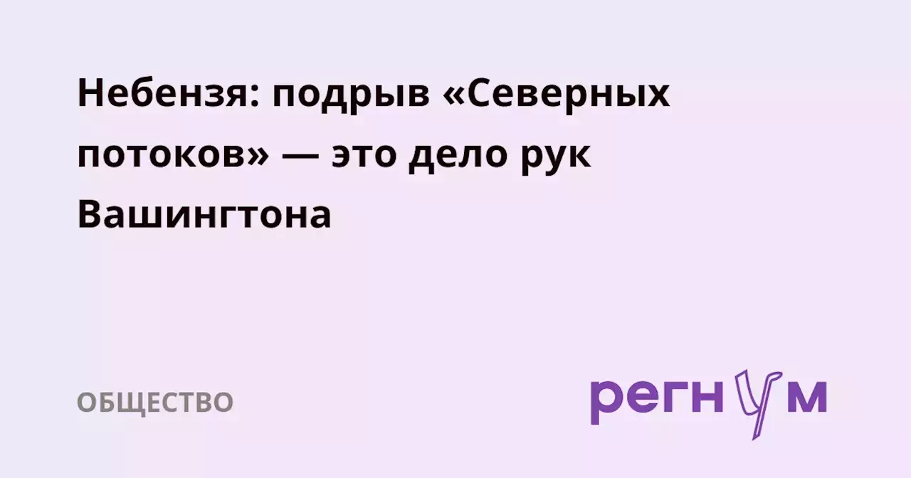 Небензя: подрыв «Северных потоков» — это дело рук Вашингтона