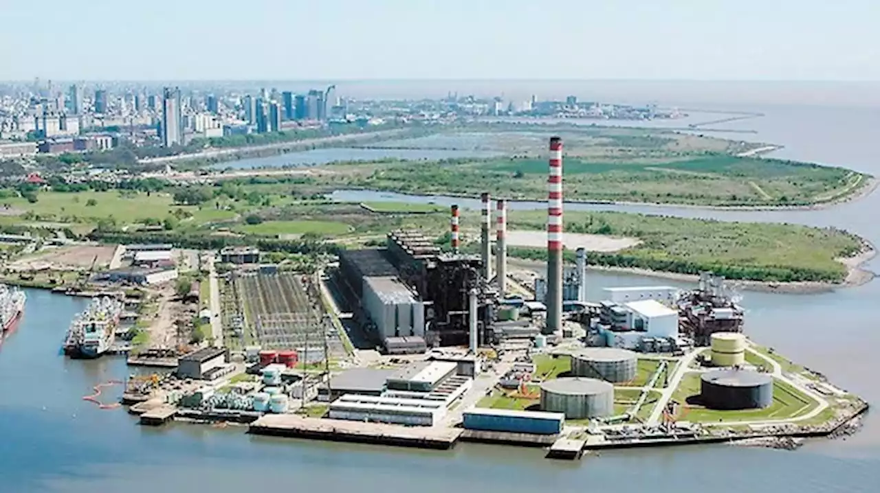 A pesar del cambio de dueño, Central Costanera sigue en rojo