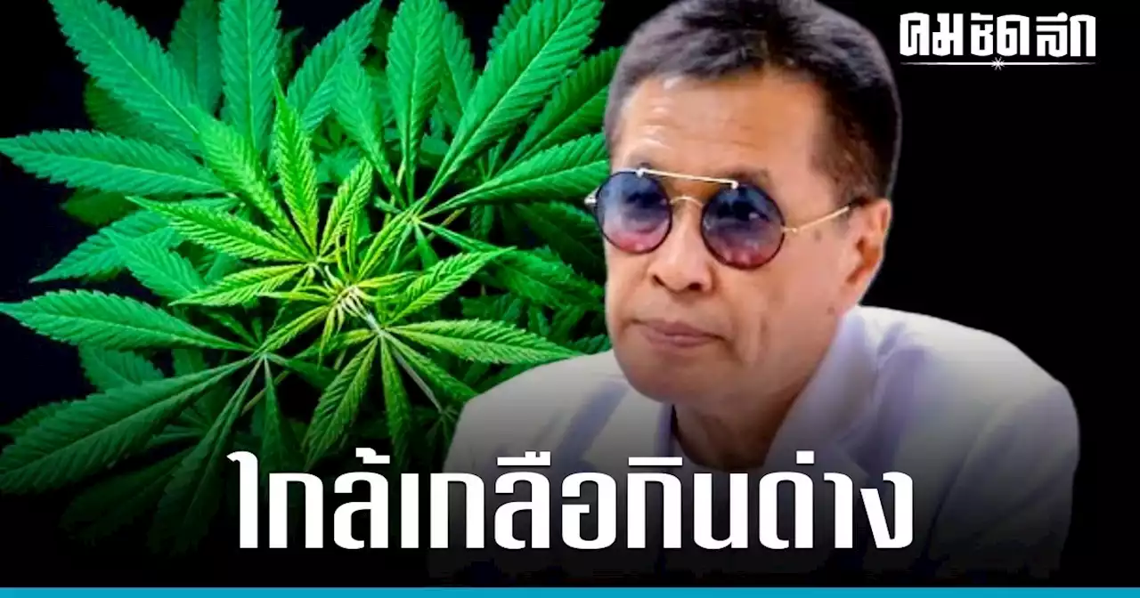 พลิกตำราแพทย์แผนไทย 'กัญชา' รักษา 'โรคสมองเสื่อม' อาการปวดเรื้อรัง