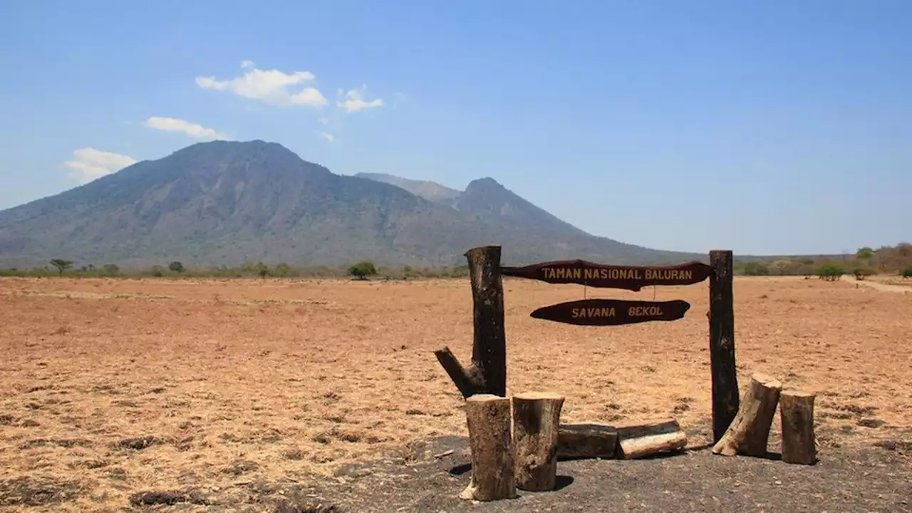 Kunjungan Wisata di Taman Nasional Baluran Ditutup hingga 30 September 2023 akibat Kebakaran Hutan