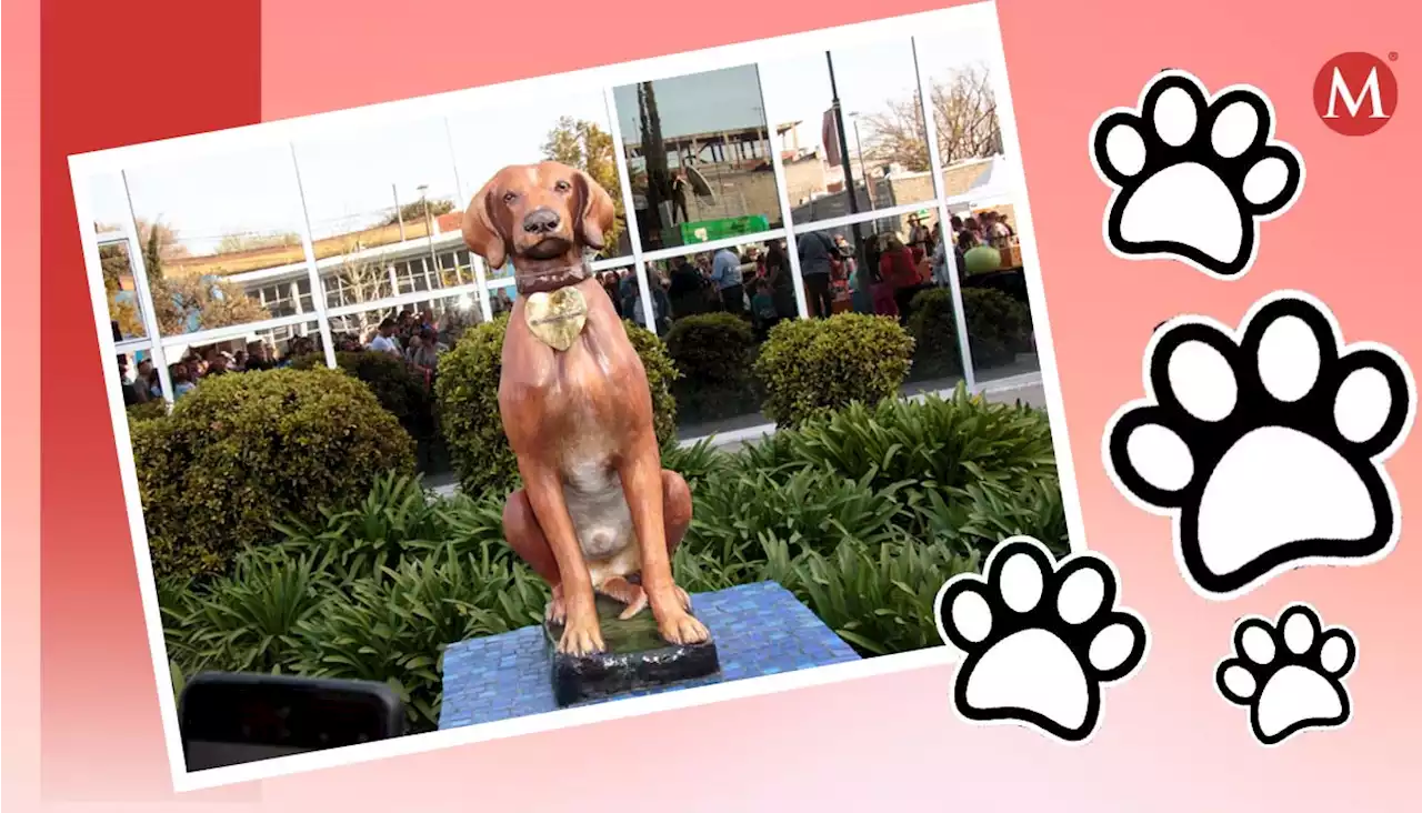 Ciudad de Argentina hace un monumento para perros de la comunidad