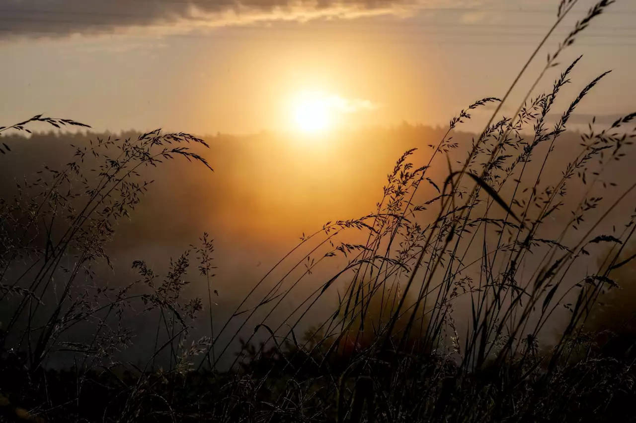 Nebel, Sonne und spätsommerliche Wärme in Bayern