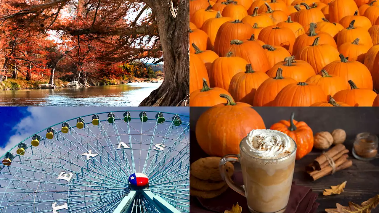 Fall into these spicetacular events across Dallas-Fort Worth this season