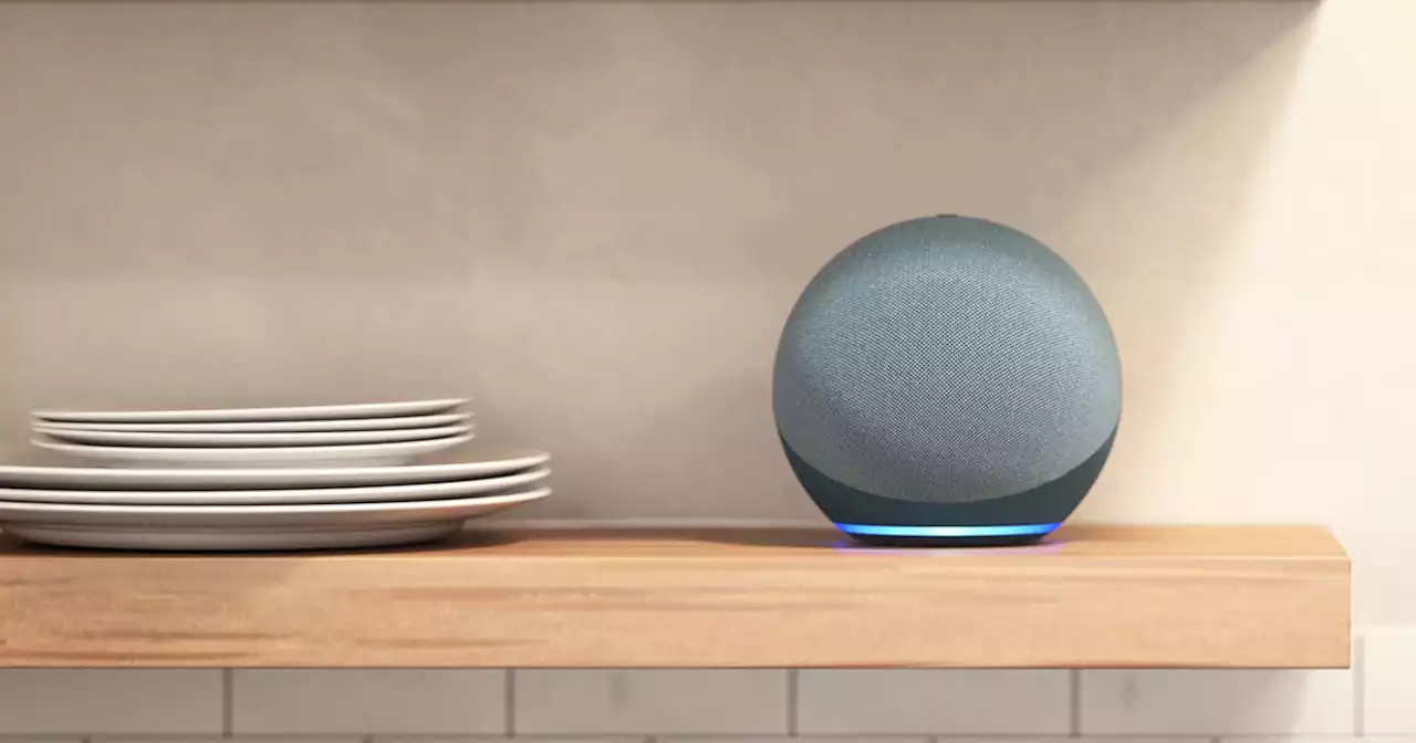 Amazon will use real user conversations to train Alexa's AI model
