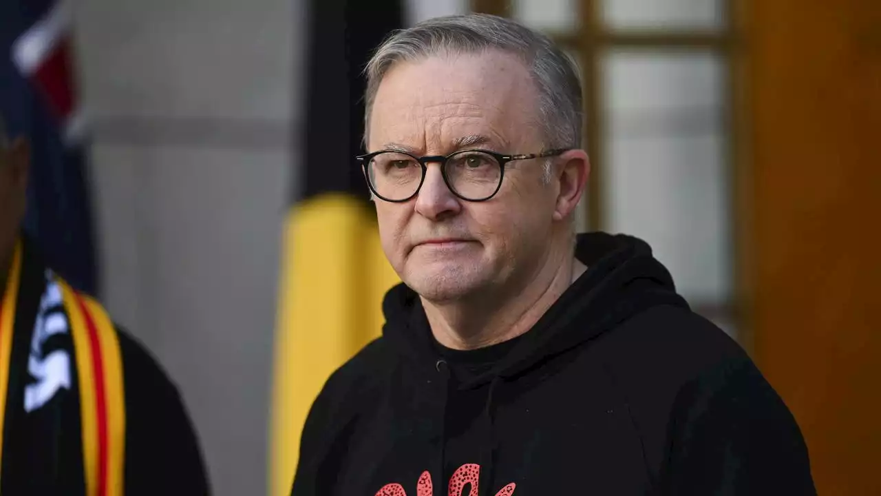 Voice questions Albo struggling to answer