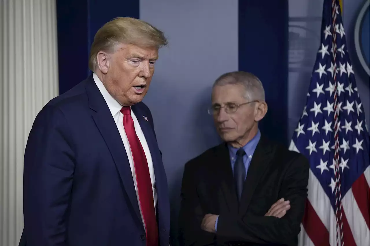 Anthony Fauci says Trump's staff 'went crazy' during COVID