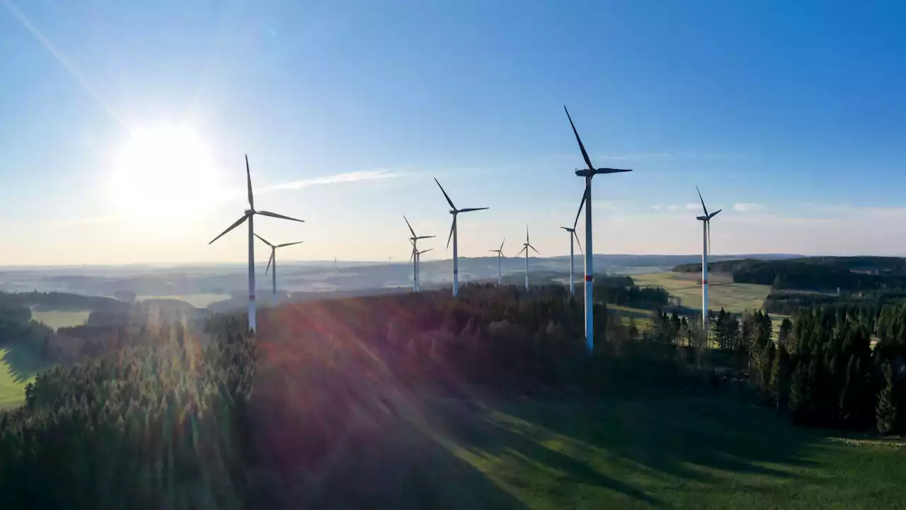 Windräder im Wald sind für FPÖ-Waldhäusl „größtes Naturverbrechen“