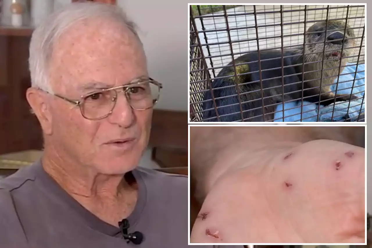 Man is attacked and bitten by rabid otter 41 times while feeding ducks