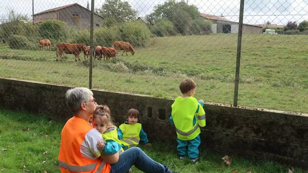 Cette crèche des Deux-Sèvres souhaite tourner davantage les enfants vers la nature et ses bienfaits