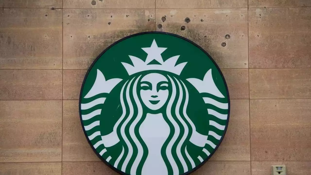 Une copie parfaite d’un café Starbucks ouvre en Algérie et fait sensation