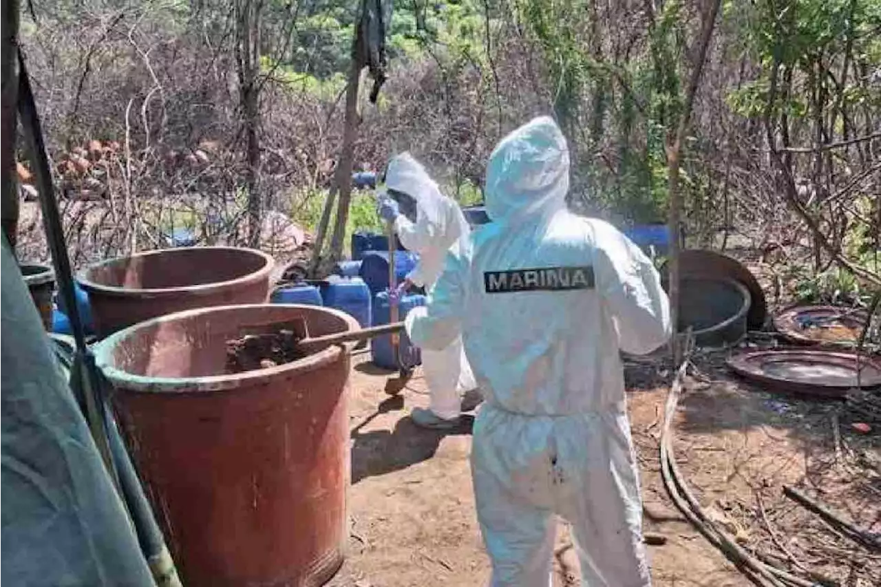 Decomiso de laboratorio y droga en Culiacán, Sinaloa, representó afectación económica al crimen de 56 millones de dólares