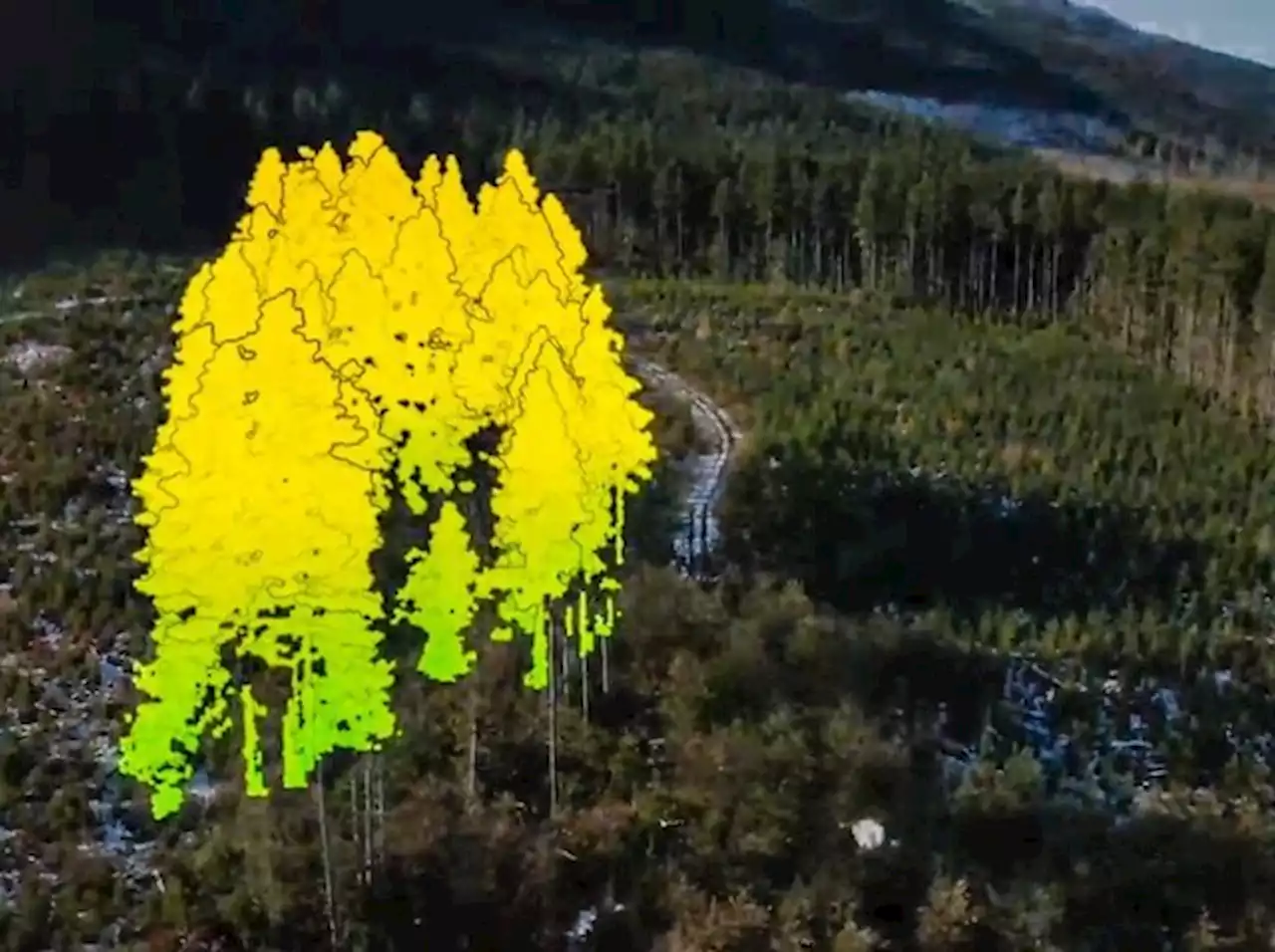 Kelowna company bringing artificial intelligence to forest sector