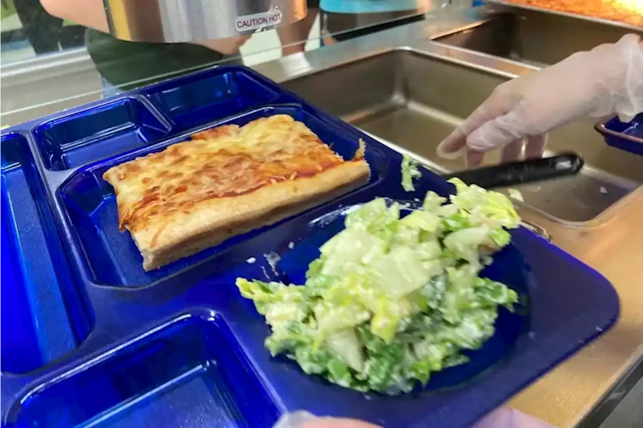 Breaking down school lunches and Deptford’s controversial unpaid meals policy