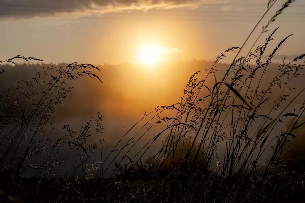 Nebel, Sonne und spätsommerliche Wärme in Bayern