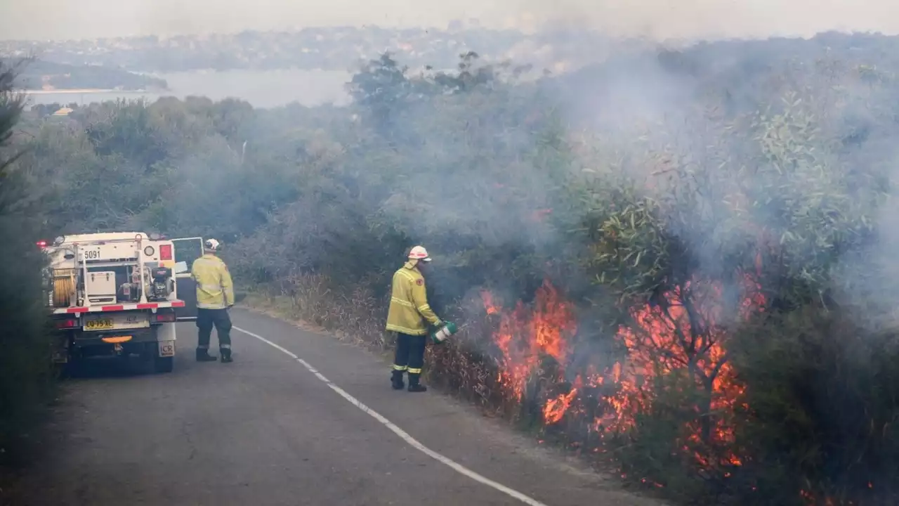 Hazard reduction burns taking place in Sydney to reduce fuel loads near populated areas