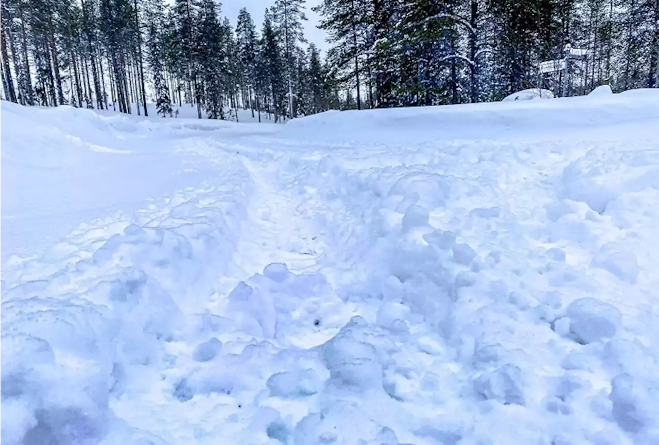 Debüt der Rallye-Weltmeisterschaft am Polarkreis