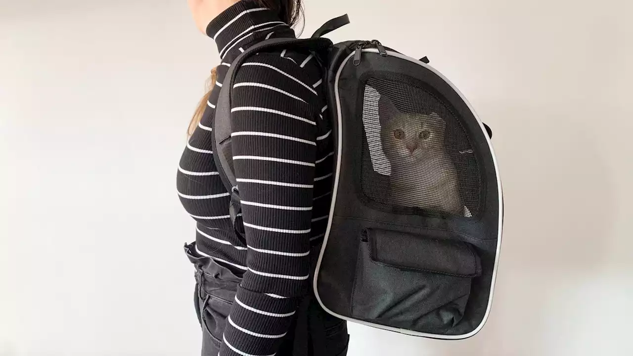 Erweiterbarer Katzenrucksack im Test: Eine gute Alternative zur Transportbox?